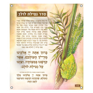 קישוט סוכה – סדר נטילת לולב