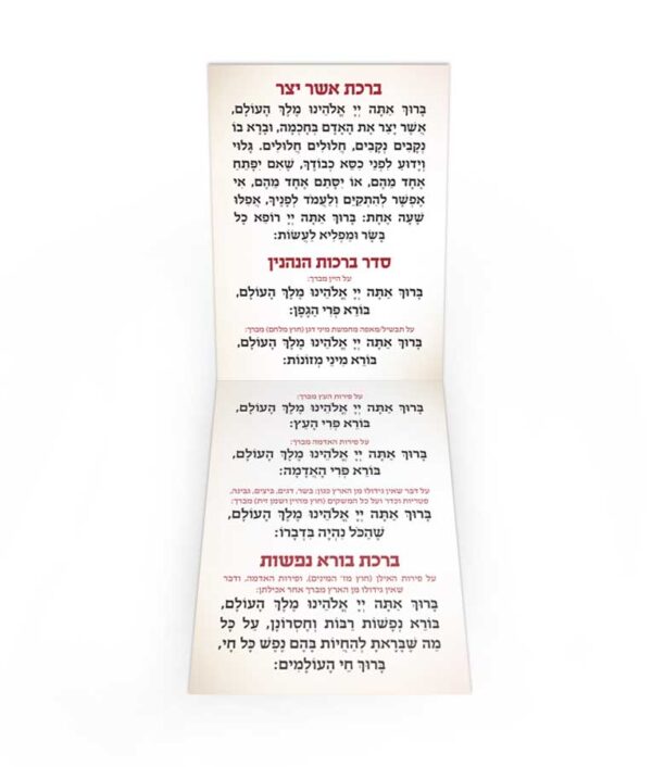 ⁦ברכותי⁩ – תמונה ⁦4⁩