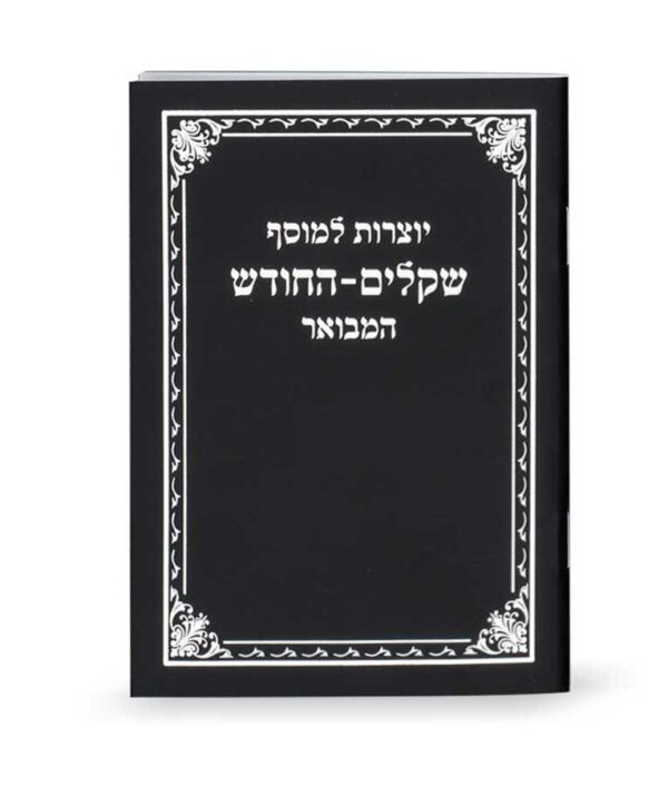 יוצרות למוסף שקלים החודש