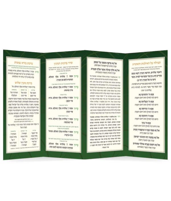 ⁦כל נטיעות⁩ – תמונה ⁦3⁩