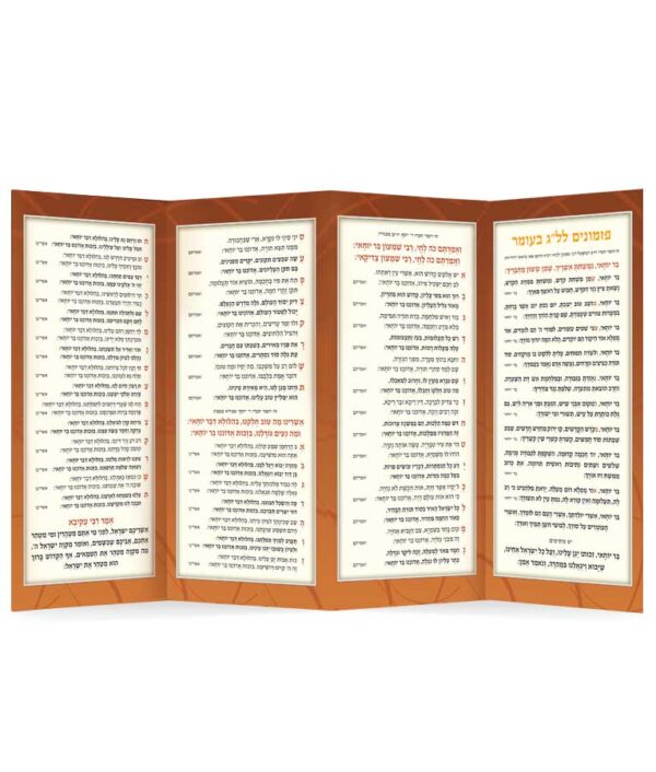 ⁦שירון לל”ג בעומר⁩ – תמונה ⁦4⁩