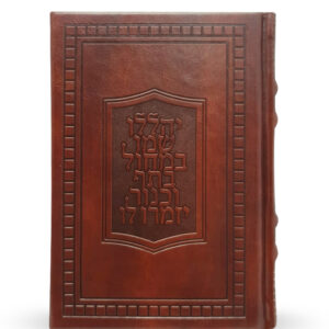 תהילים דגם ספיר – סקאי