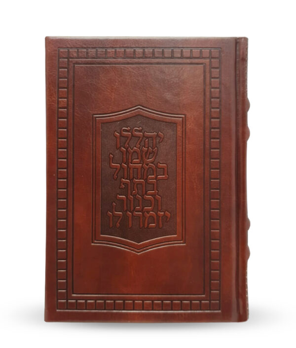תהילים דגם ספיר – סקאי