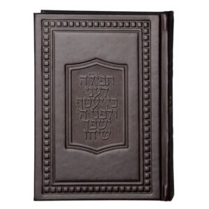 תחינות דגם ספיר – סקאי