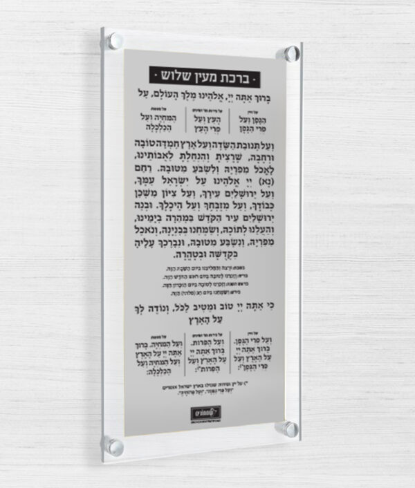 ⁦ברכה אחרונה – צף + פלטה⁩ – תמונה ⁦3⁩