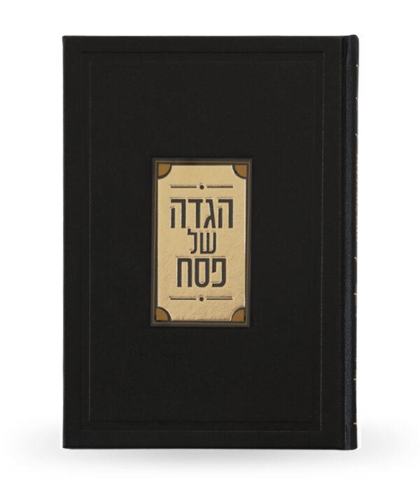 ⁦הגדה לוסייט יוקרתית⁩ – תמונה ⁦7⁩