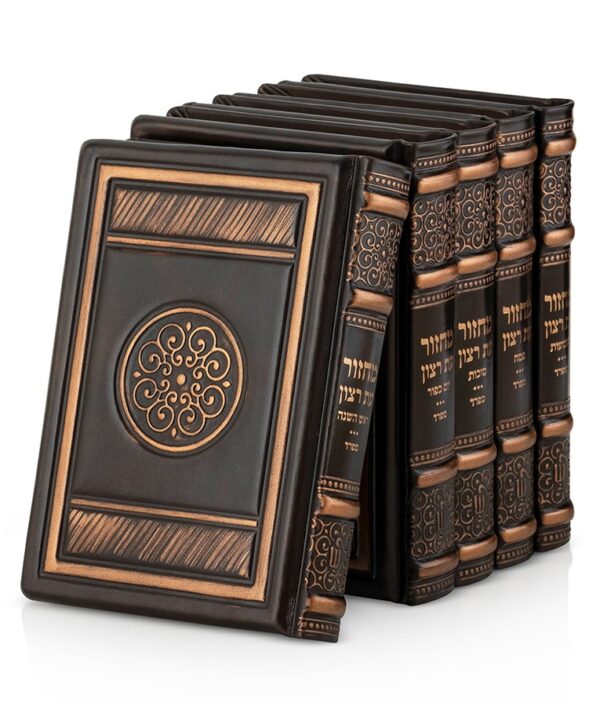 ⁦סט מחזורים עור אמיתי סדרת שנהב – בינוני⁩ – תמונה ⁦4⁩