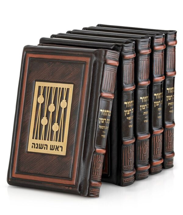 ⁦סט מחזורים עור אמיתי סדרת גולד⁩ – תמונה ⁦8⁩