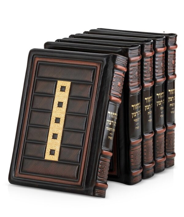 ⁦סט מחזורים עור אמיתי סדרת קונקורד – בינוני⁩ – תמונה ⁦7⁩