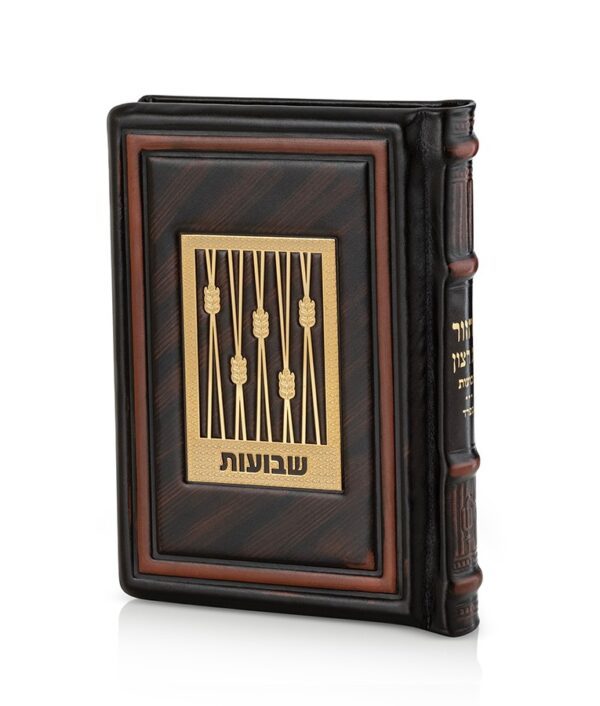 ⁦סט מחזורים עור אמיתי סדרת גולד⁩ – תמונה ⁦10⁩