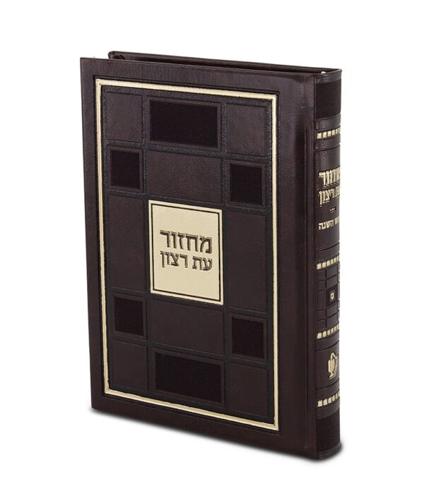 ⁦סט מחזורים סדרת ברקת⁩ – תמונה ⁦9⁩
