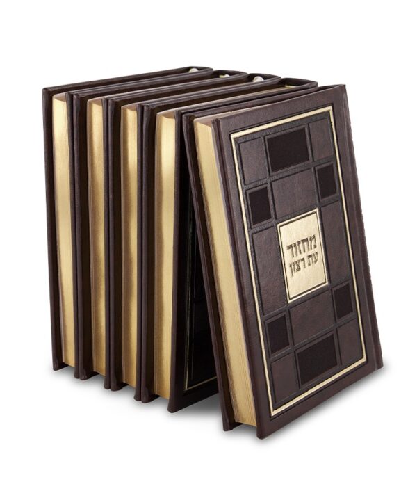 ⁦סט מחזורים סדרת ברקת⁩ – תמונה ⁦10⁩