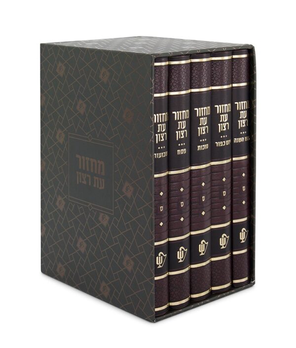 ⁦סט מחזורים סקאי – גדול⁩ – תמונה ⁦2⁩