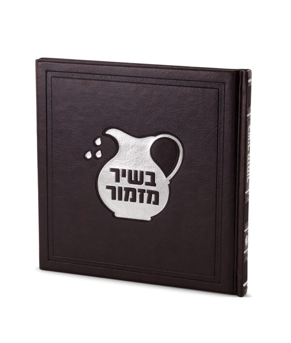 ⁦בשיר מזמור⁩ – תמונה ⁦8⁩