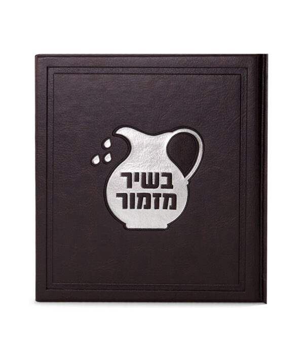 ⁦בשיר מזמור⁩ – תמונה ⁦9⁩