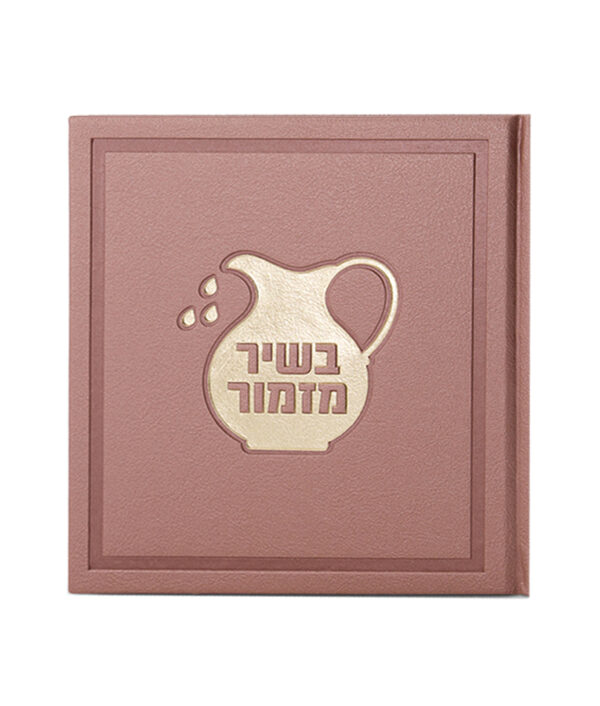 ⁦בשיר מזמור⁩ – תמונה ⁦7⁩