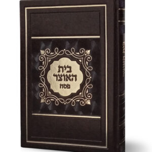 בית האוצר דמוי עור לפסח