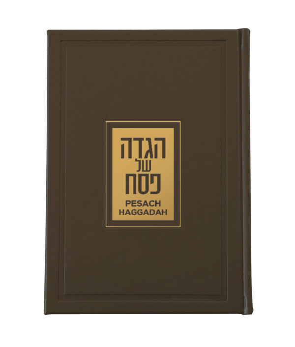 ⁦הגדה יוקרתית אנגלית/עברית⁩ – תמונה ⁦2⁩