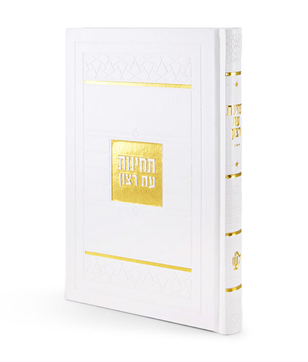 ⁦תחינות דגם פסיפס⁩ – תמונה ⁦5⁩