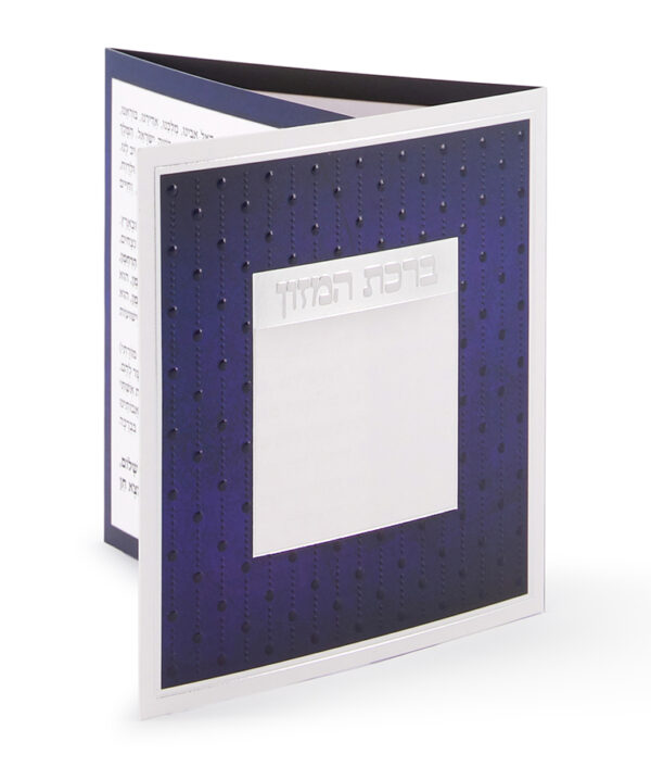 ⁦ברכון דגם נקודות⁩ – תמונה ⁦4⁩