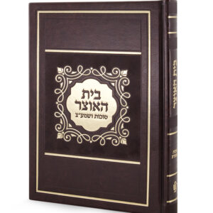 בית האוצר דמוי עור לסוכות