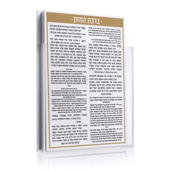 ⁦מארז ברכונים מגנטי לוסייט⁩ – תמונה ⁦7⁩