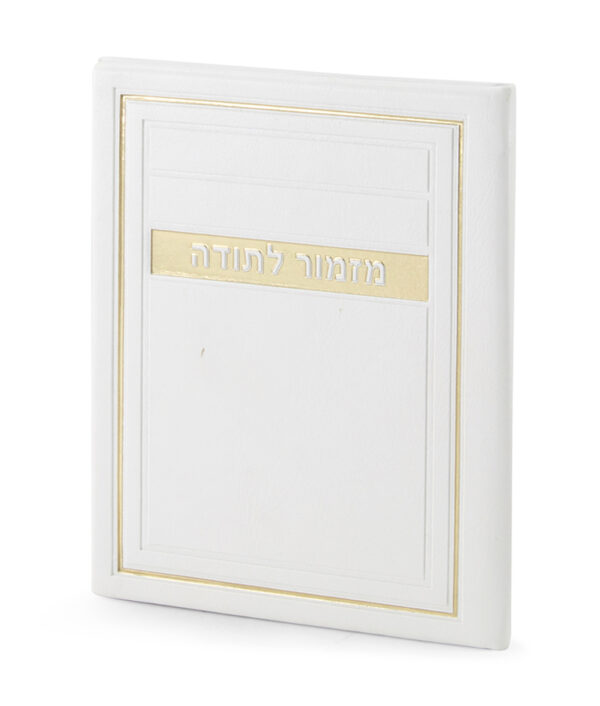 ⁦מזמור לתודה – דגם מיתר⁩ – תמונה ⁦3⁩