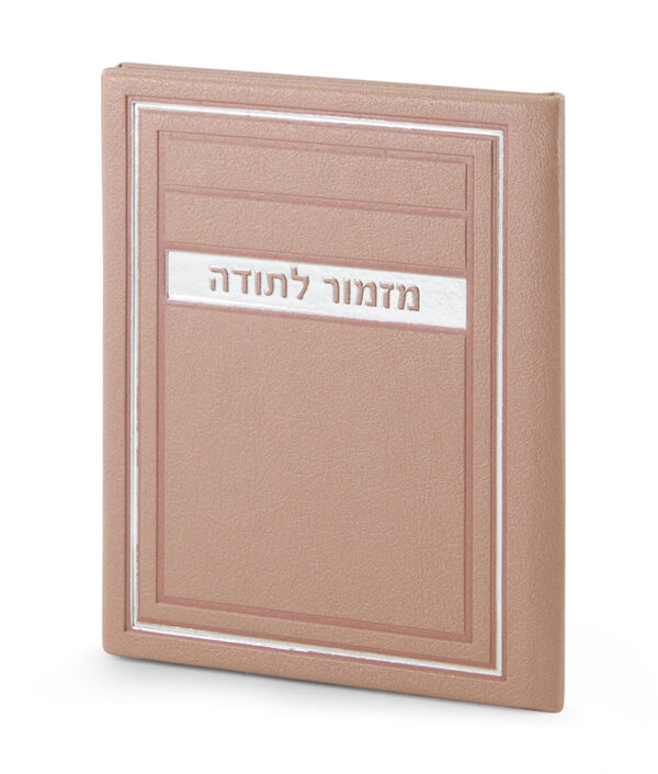 מזמור לתודה – דגם מיתר