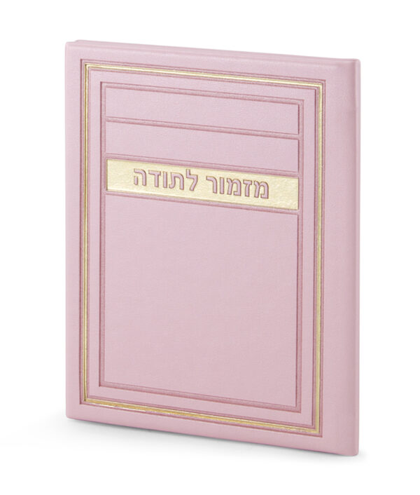 ⁦מזמור לתודה – דגם מיתר⁩ – תמונה ⁦4⁩