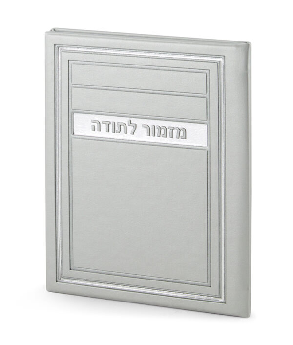⁦מזמור לתודה – דגם מיתר⁩ – תמונה ⁦6⁩