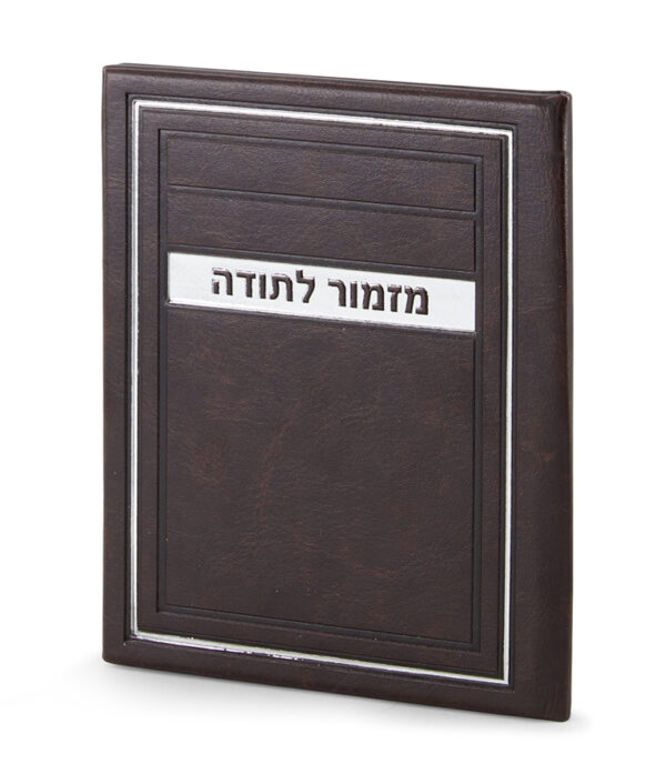 ⁦מזמור לתודה – דגם מיתר⁩ – תמונה ⁦2⁩